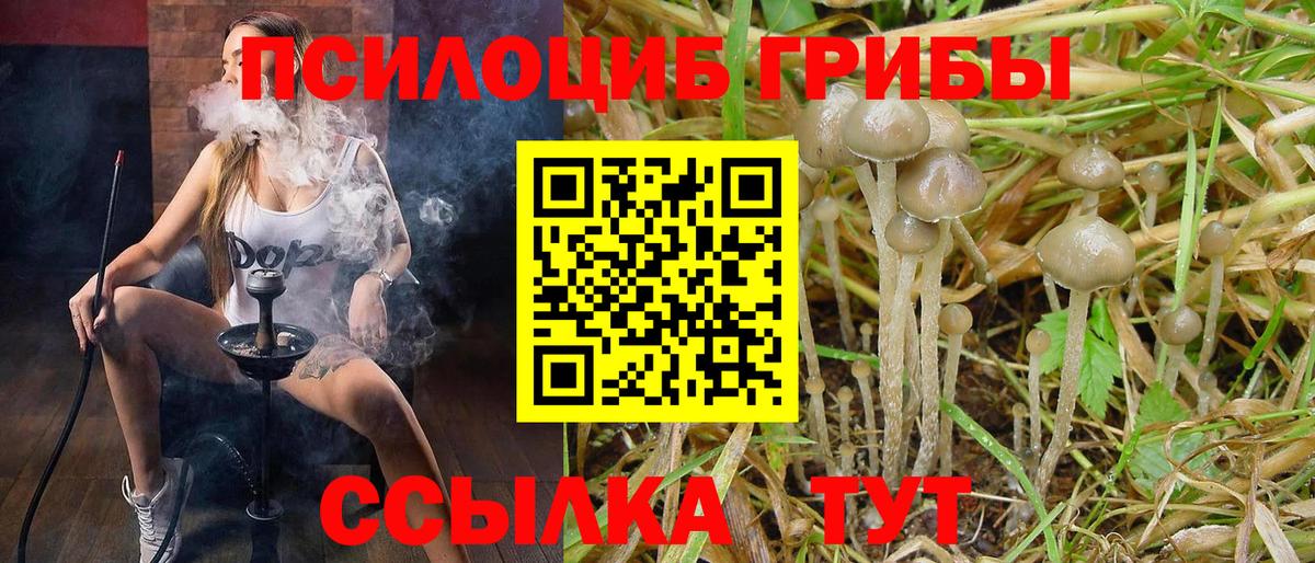 Галлюциногенные грибы MAGIC MUSHROOMS Керчь