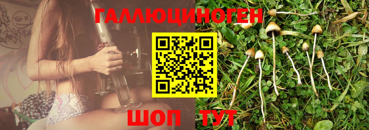 Керчь  купить  цена  Вход с VPN  Галлюциногенные грибы прущие грибы 